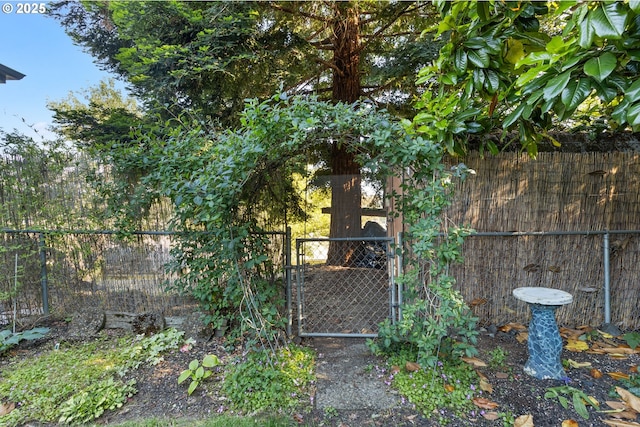 1842 NW Dogwood St, Roseburg, OR 97471 - view of yard featuring a gate