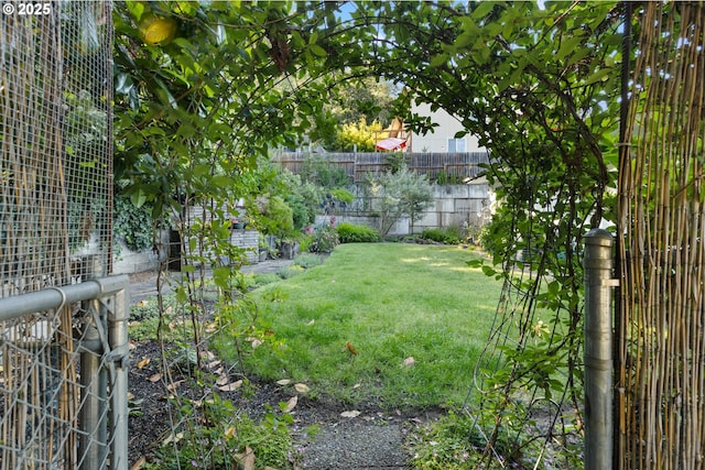 1842 NW Dogwood St, Roseburg, OR 97471 - view of yard