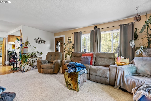 1842 NW Dogwood St, Roseburg, OR 97471 - living area featuring a textured ceiling and light colored carpet