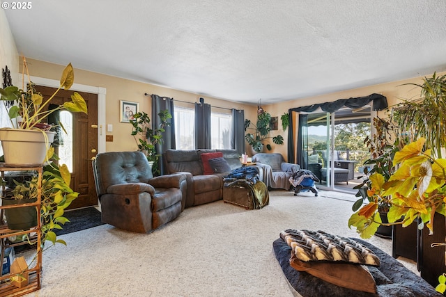 1842 NW Dogwood St, Roseburg, OR 97471 - carpeted living area featuring a textured ceiling