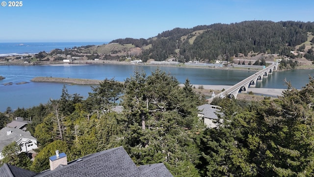 birds eye view of property with a forest view and a water view