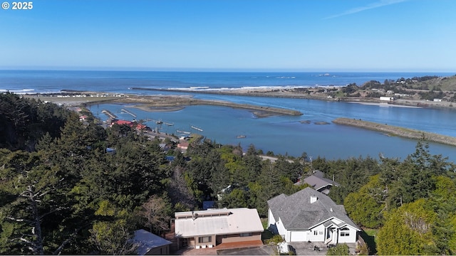 bird's eye view with a water view