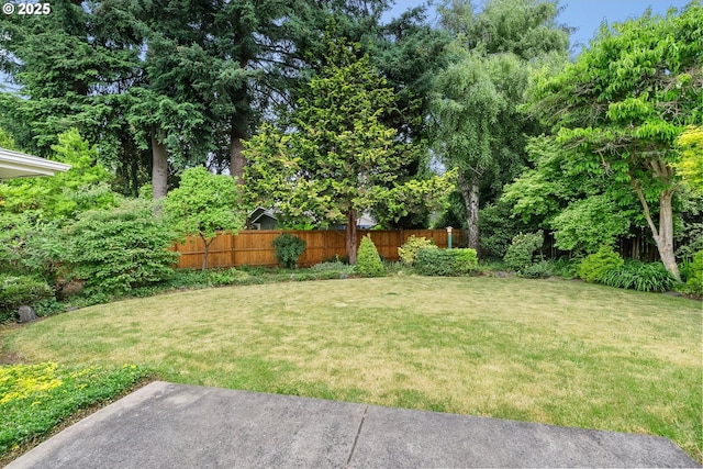 420 Mar Loop, Eugene, OR 97401 - view of yard
