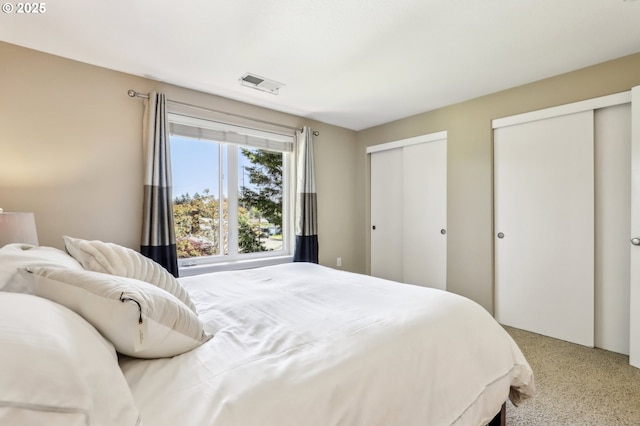 bedroom with multiple closets and speckled floor