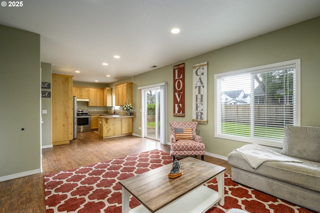 living room with baseboards, light wood-type flooring, and recessed lighting