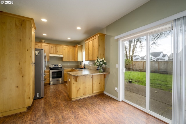 kitchen featuring a sink, dark wood-style flooring, light brown cabinetry, a peninsula, and stainless steel appliances