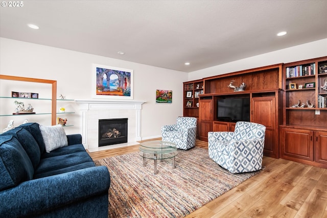 living room featuring a fireplace and light hardwood / wood-style floors