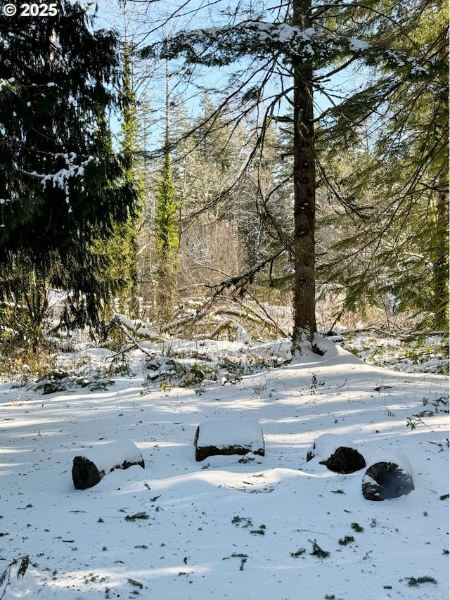 23610 E Gumjuwac Rd, Brightwood, OR 97011 - view of yard covered in snow
