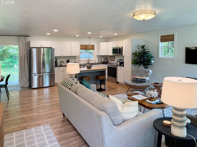 23610 E Gumjuwac Rd, Brightwood, OR 97011 - living room with healthy amount of natural light, light wood-type flooring, a textured ceiling, and recessed lighting
