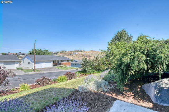 458 NW 21st St, Pendleton, OR 97801 - view of yard