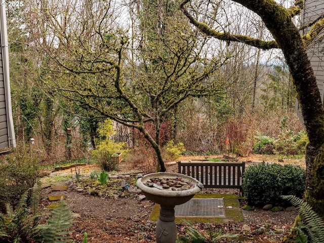 view of home's community featuring a wooded view