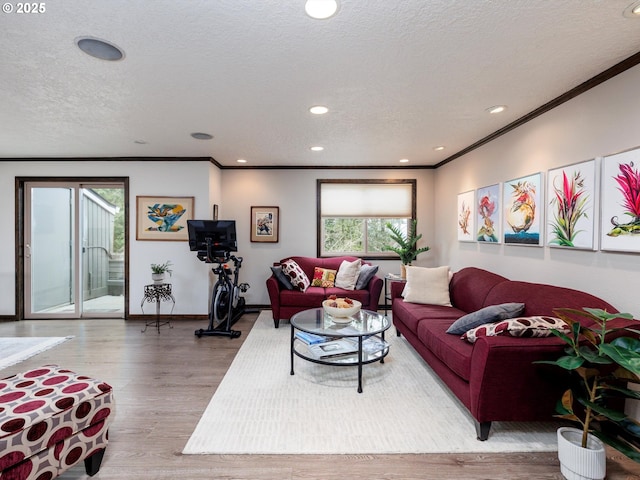 living room with a textured ceiling, crown molding, and wood finished floors