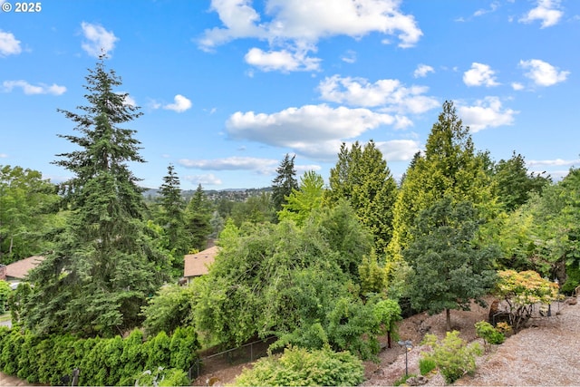 3025 SW Wallula Ave, Gresham, OR 97080 - view of woods