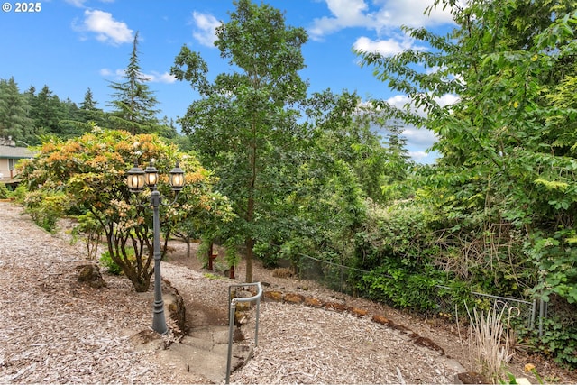3025 SW Wallula Ave, Gresham, OR 97080 - view of yard