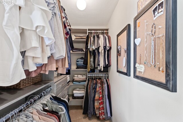 13355 SW Chimney Ridge Ct, Tigard, OR 97223 - walk in closet with carpet floors