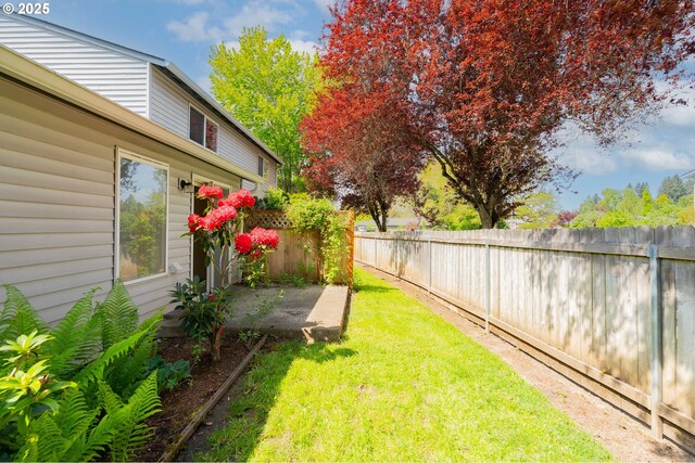 view of yard with a patio and a fenced backyard