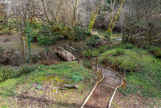 view of local wilderness with a wooded view