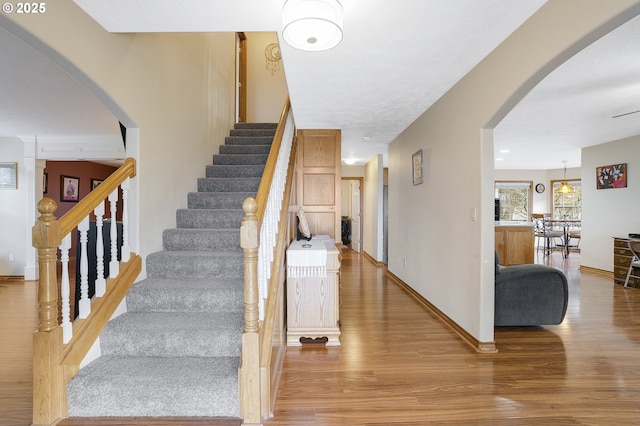 staircase featuring hardwood / wood-style floors