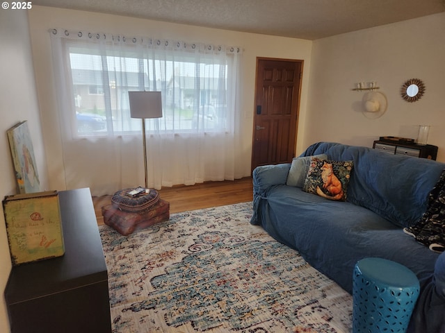living room with a wealth of natural light, a textured ceiling, and wood finished floors