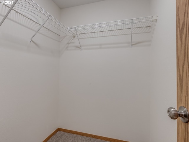 walk in closet featuring carpet