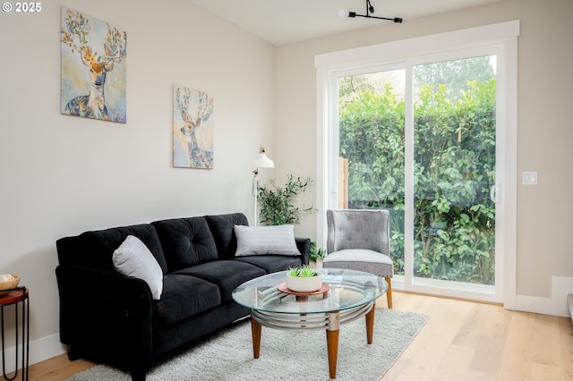 living room with light wood-type flooring