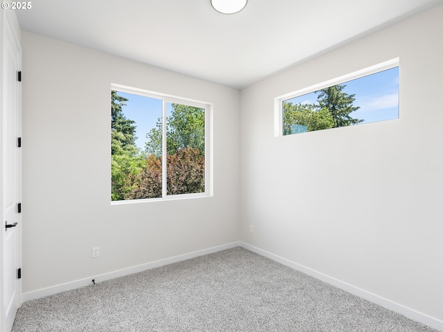 empty room featuring carpet