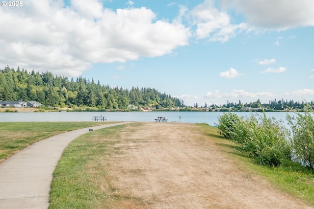 5300 Davis St SE, Turner, OR 97392 - water view