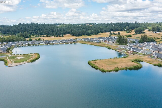 5300 Davis St SE, Turner, OR 97392 - aerial perspective of suburban area with a large body of water