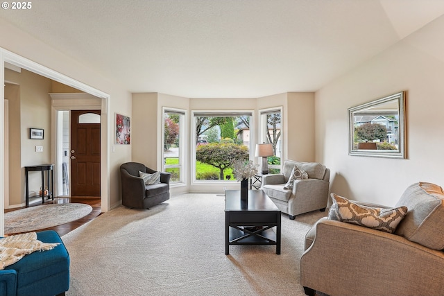 carpeted living room featuring baseboards