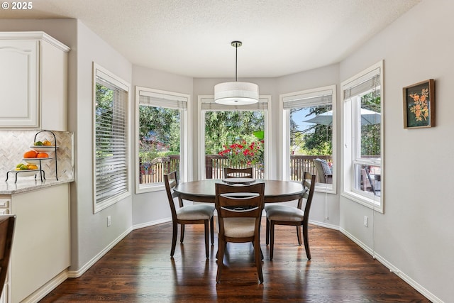 dining room featuring baseboards, plenty of natural light, dark wood finished floors, and a textured ceiling
