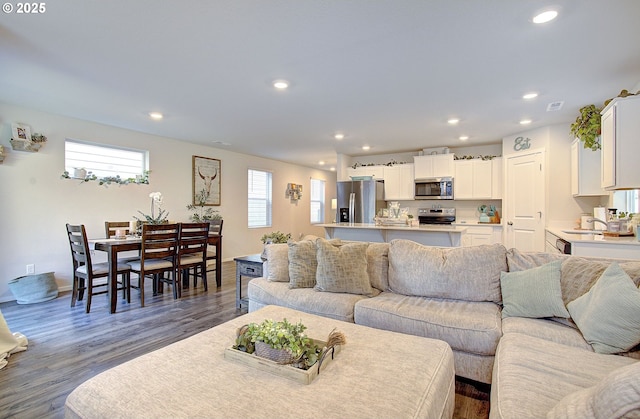 living room with sink and dark wood-type flooring