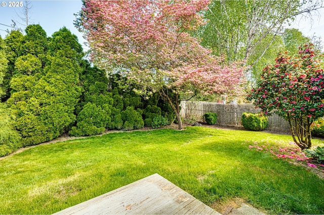 view of yard featuring a fenced backyard and a wooden deck