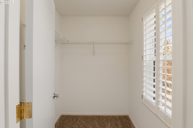 walk in closet with carpet