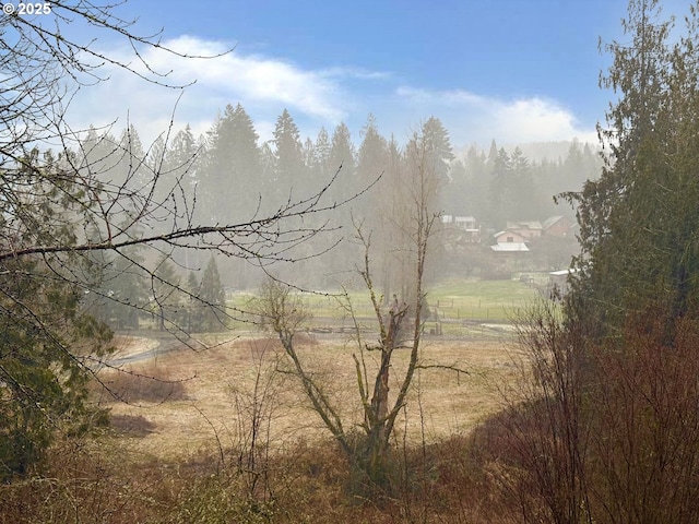 14755 S Graves Rd, Mulino, OR 97042 - view of mountain feature