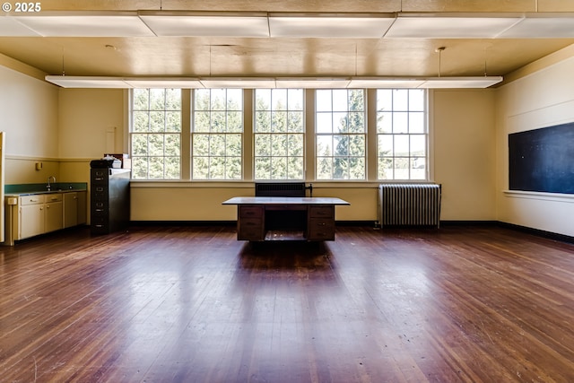 unfurnished office featuring radiator, dark hardwood / wood-style floors, and a wealth of natural light