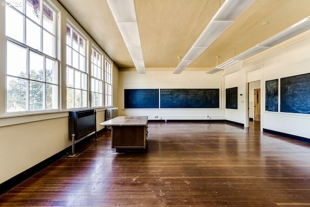 unfurnished office featuring dark hardwood / wood-style floors