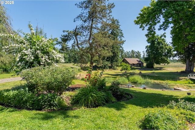 8758 Thurston Rd, Springfield, OR 97478 - view of grassy yard