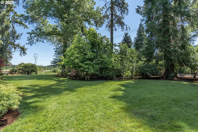 8758 Thurston Rd, Springfield, OR 97478 - view of green lawn