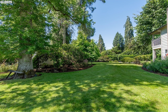 8758 Thurston Rd, Springfield, OR 97478 - view of grassy yard