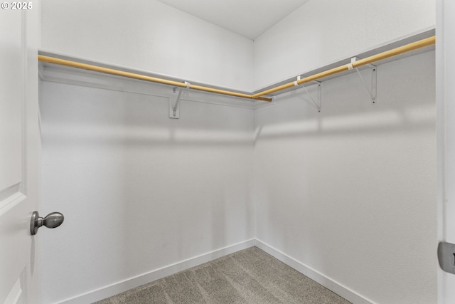 1502 Timothy St, Philomath, OR 97370 - spacious closet featuring light colored carpet