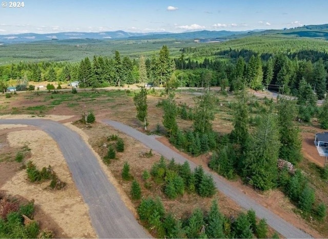 bird's eye view with a mountain view