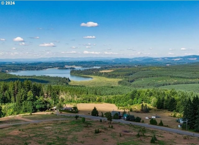 aerial view with a water and mountain view