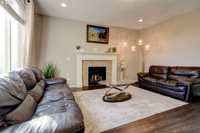 living room featuring a fireplace and dark wood-type flooring