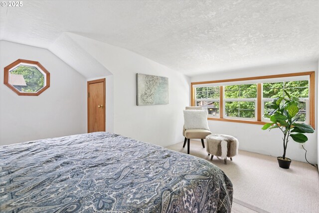10914 SW 64th Ave, Portland, OR 97219 - carpeted bedroom featuring lofted ceiling and a textured ceiling