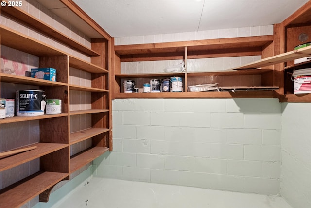 10914 SW 64th Ave, Portland, OR 97219 - view of storage