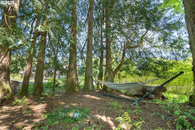 66020 Meissner Rd, Deer Island, OR 97054 - view of yard