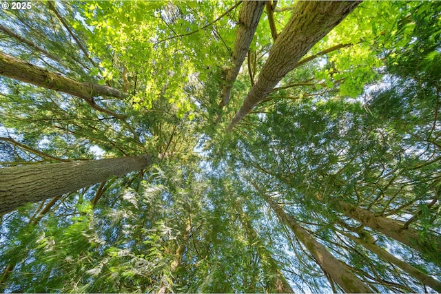 66020 Meissner Rd, Deer Island, OR 97054 - view of local wilderness