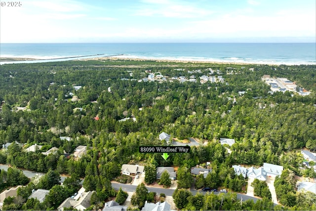 drone / aerial view with a water view and a view of the beach