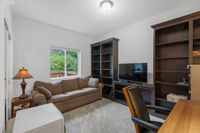 view of carpeted living area