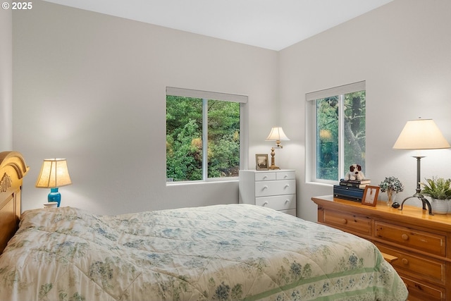 bedroom featuring multiple windows